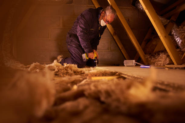 Best Insulation Replacement Services  in Beloit, WI